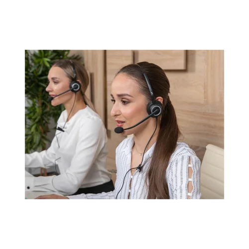 Проводная гарнитура VT5000-D QD(P)-RJ9(03), Дуо, Узкополосный звук, QD, переходник QD-RJ09(03)